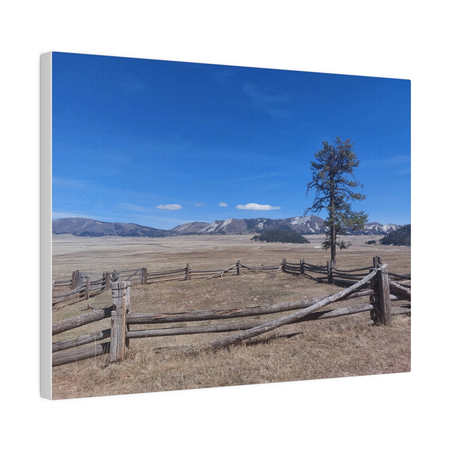 The Valles Caldera on Matte Canvas, Stretched, 0.75"