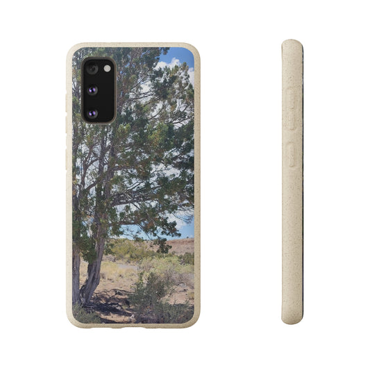 Biodegradable Phone Case -Tree at Overlook